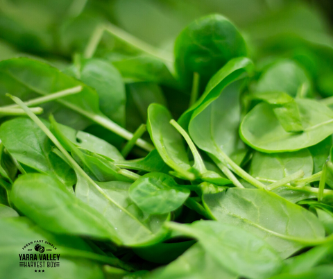 Baby Spinach Leaves 400g